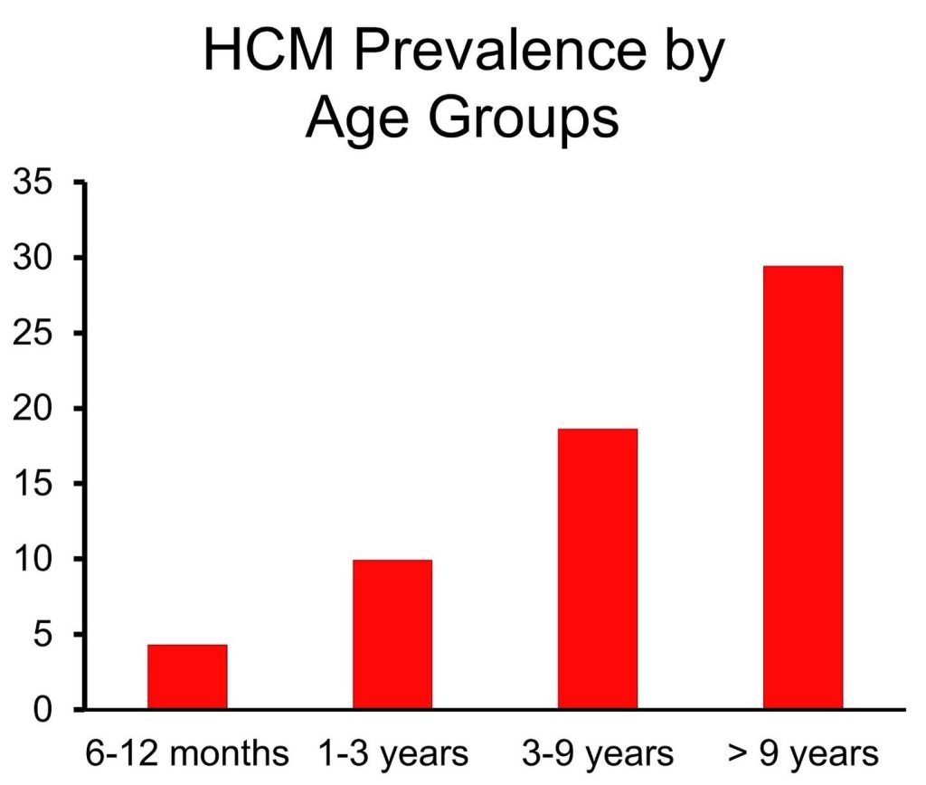 Prevalence of HCM in cats across age groups